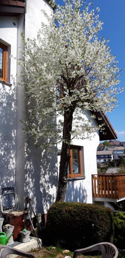 Апартаменты Haus Levi Neukirch  Экстерьер фото